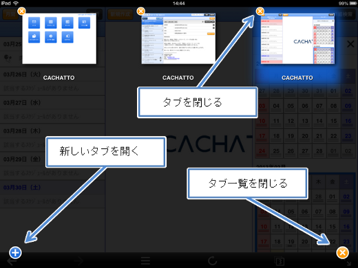 iPadでのタブ一覧画面。現在のタブが強調表示されています