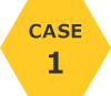 case1