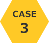 case3