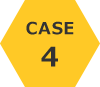 case4